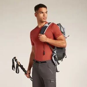 Icebreaker Merino 200 Men’s Tee Shirt